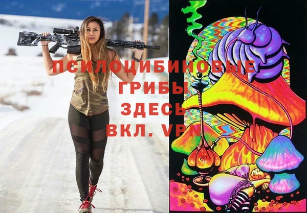 бошки Алексеевка