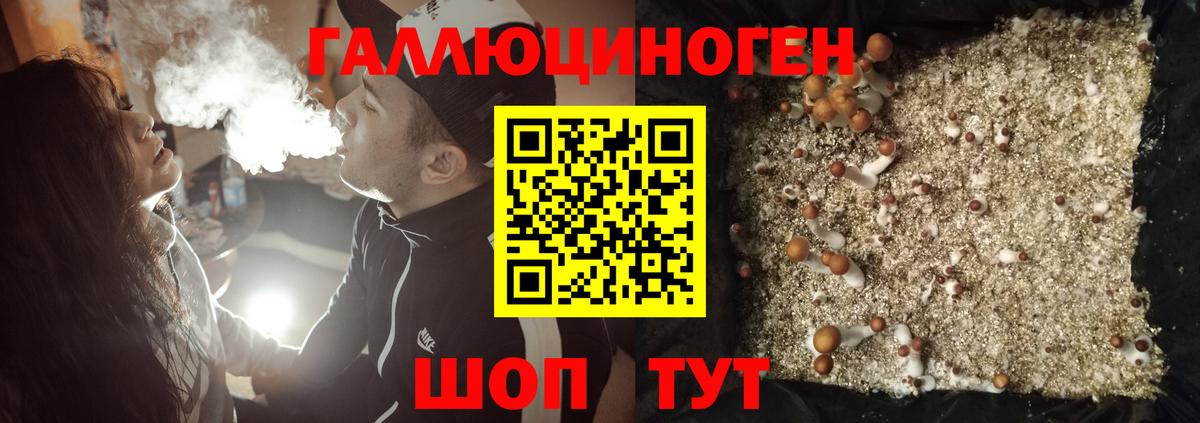Галлюциногенные грибы мицелий  Вход с VPN  Астрахань 